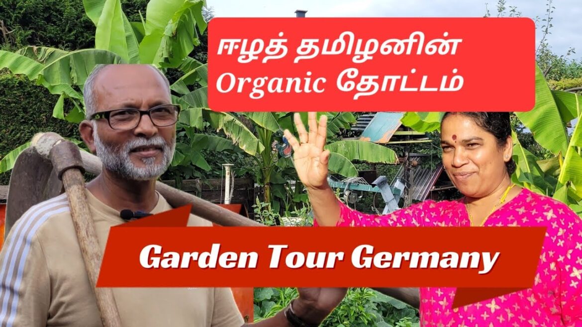 Germany யில் Organic தோட்டம் | Home Garden Tour Germany  | Gerden growing Vegetable Gardening
