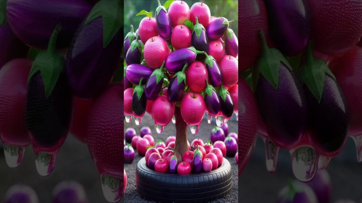 Easy and fast technique for planting and growing hybrid apple and eggplant fruit trees. #gardening Easy and fast technique for planting and growing hybrid apple and eggplant fruit trees. #gardening