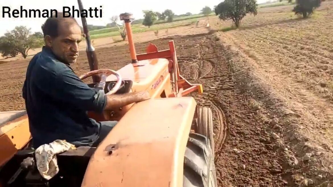 Matar big ho raha hein#farming #funny #farming_india#gardening Matar big ho raha hein#farming #funny #farming_india#gardening