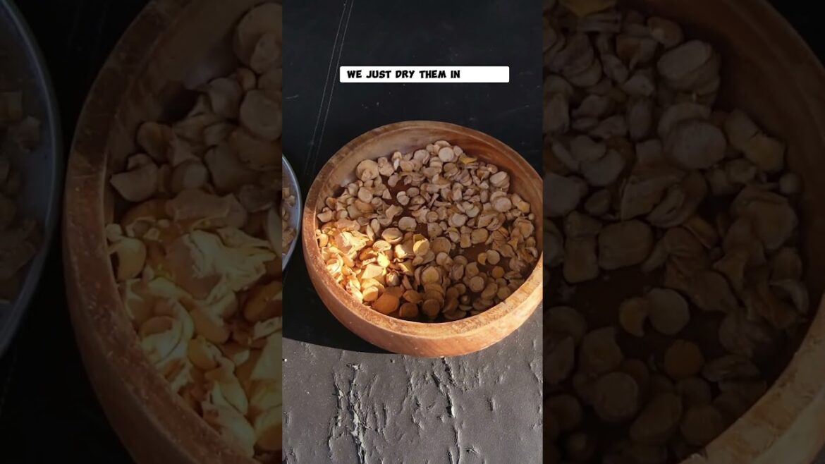 California Gardening: Making Homemade Turmeric Powder from Fresh Garden Harvest! #homegarden #garden #vegetablegarden Making Homemade Turmeric Powder from Fresh Garden Harvest! #homegarden #garden #vegetablegarden