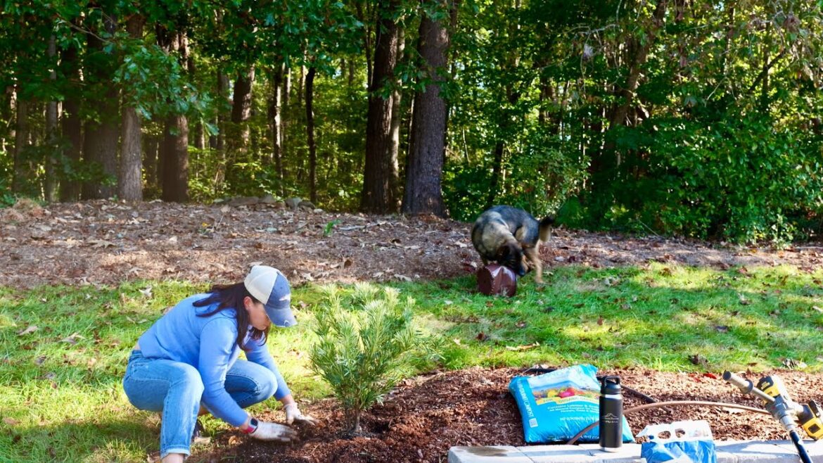 Creating A Fun Fall Container & Planting A Statement Shrub