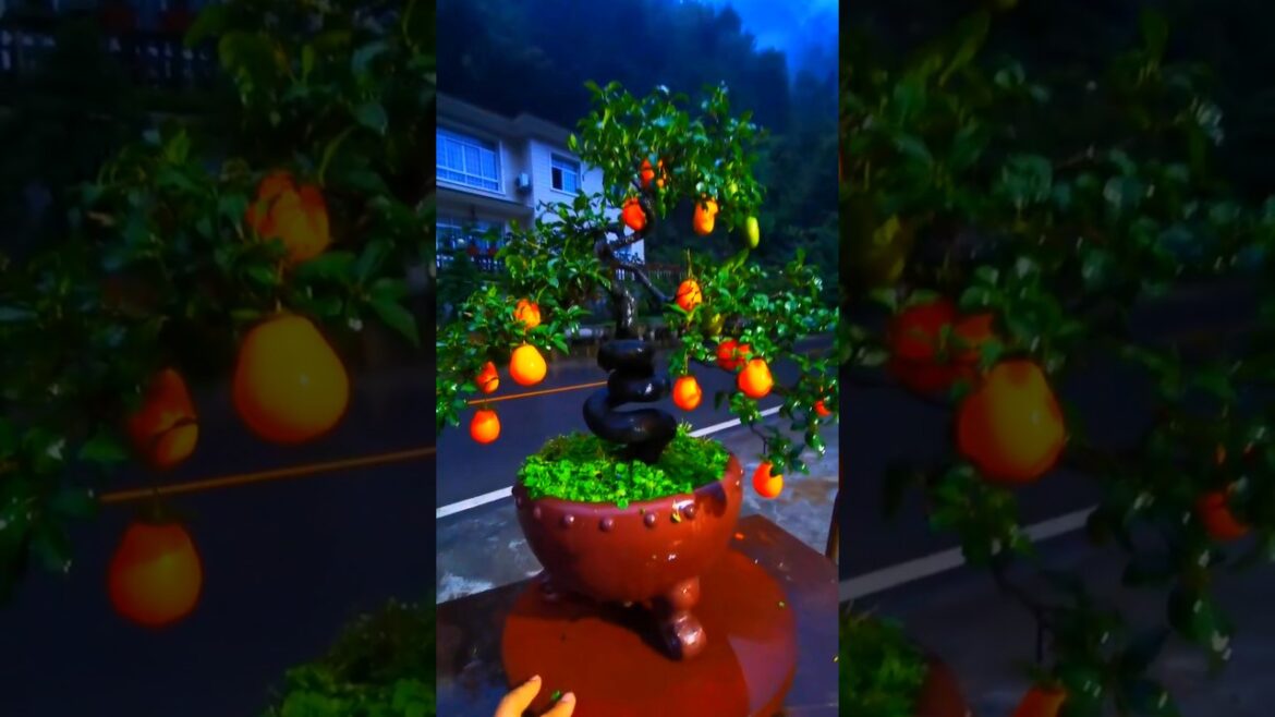 The Stunning Art of Chinese Bonsai Gardens #bonsai #garden The Stunning Art of Chinese Bonsai Gardens #bonsai #garden