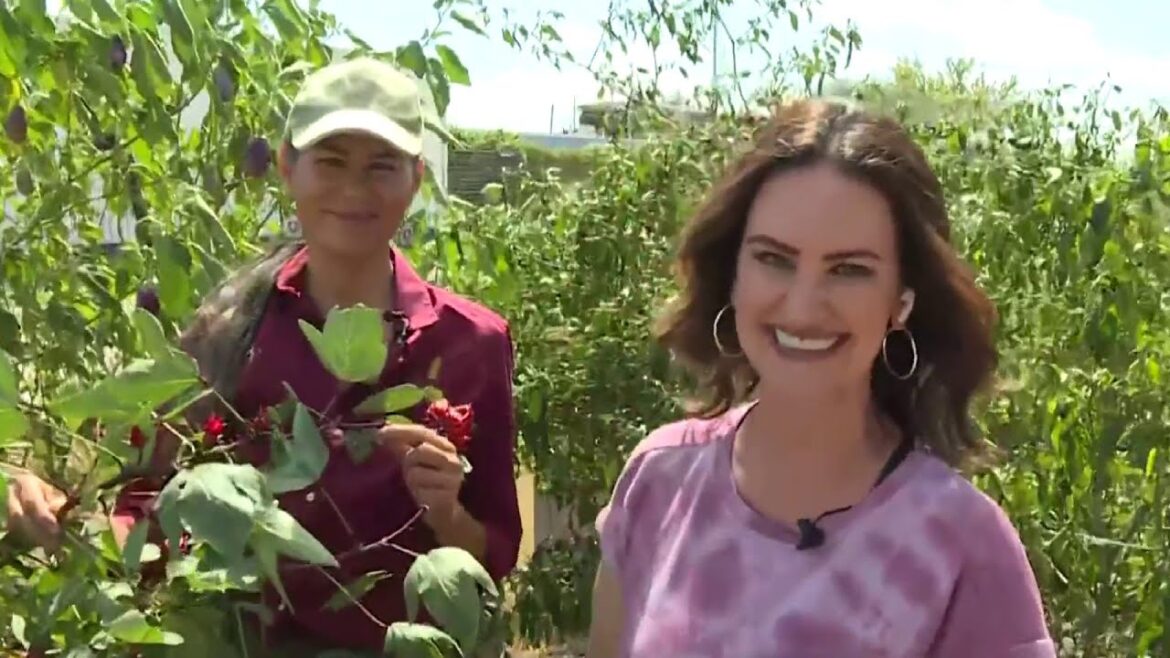 Urban Harvest brings low-cost, fresh foods to our neighbors in need