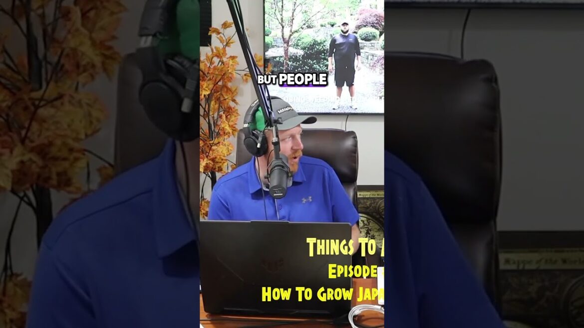 Top Tips for Healthy Japanese Maples  Avoiding Common Mistakes #gardening #podcast