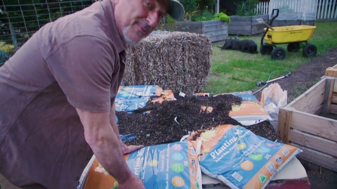 Setting Up a Shallow Raised Bed for Vegetable Gardening