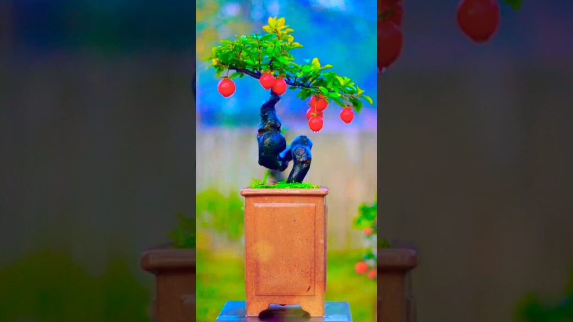 Mesmerizing Chinese Bonsai Gardens Showcase #bonsai