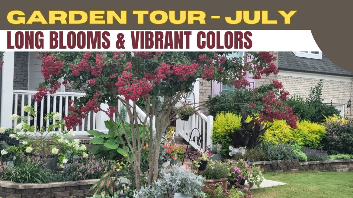July Garden Tour 2024 - Add Best Curb Appeal To The Front Yard | Bright Plants For Landscape Design