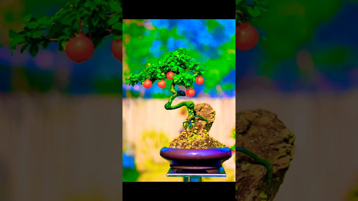 Unveiling the Beauty of Chinese Bonsai Gardens #bonsai Unveiling the Beauty of Chinese Bonsai Gardens #bonsai