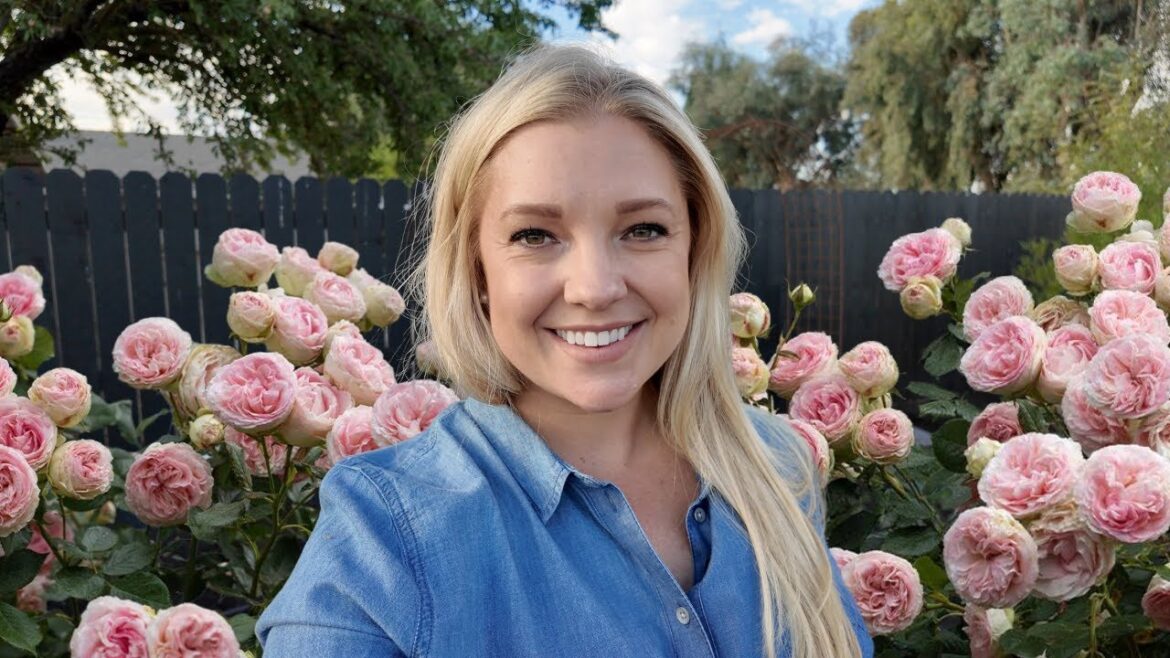 Planting My FAVORITE Rose! The Gorgeous Eden Climber 🥰 Planting My FAVORITE Rose! The Gorgeous Eden Climber 🥰