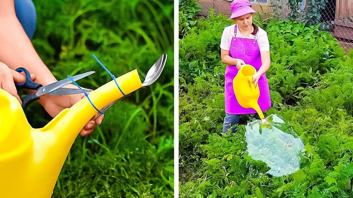 Improve your Home and Garden with thee hacks!