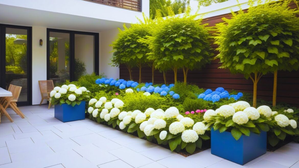 Easy Landscaping Ideas| Small Patio Design| Turn Your Small Patio Into a Tropical Paradise Easy Landscaping Ideas| Small Patio Design| Turn Your Small Patio Into a Tropical Paradise