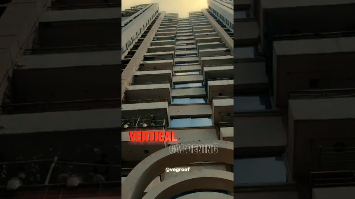 Vertical Vegetable Gardening Set-up | vertical gardening setup | VegRoof | #shortsvideo #shortsfeed