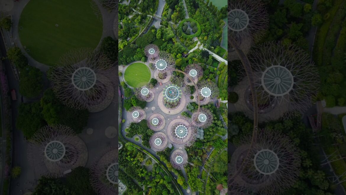 Top 5 garden design ideas for home ๐ก | #garden #design #shorts #youtubegarden ๐๐ป๐๐ป๐๐ป๐ฏ๐ฏ๐ฏ Top 5 garden design ideas for home ๐ก | #garden #design #shorts #youtubegarden ๐๐ป๐๐ป๐๐ป๐ฏ๐ฏ๐ฏ