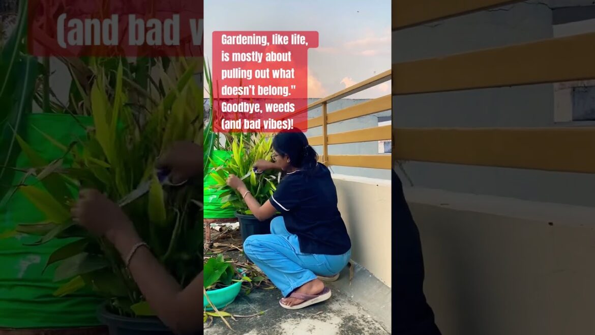 Gardening only positive vibes!!! #shortsvideo #shortsviral #shortvideo #gardening #gardener