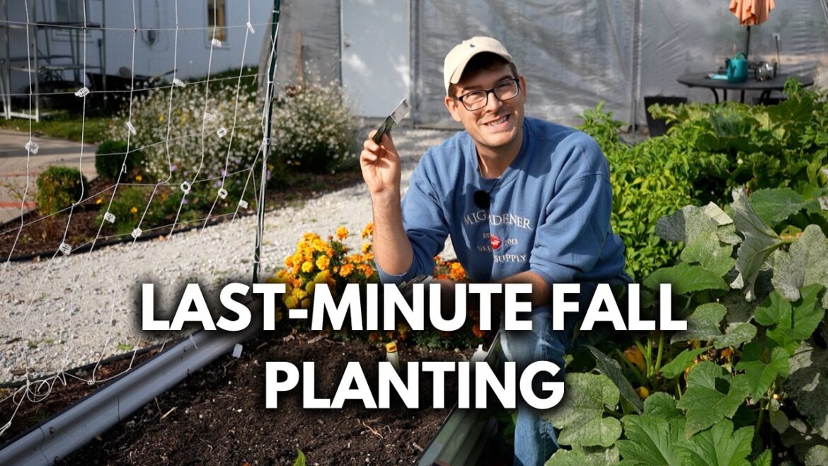 MIgardener: Plant These Crops With LESS Than 30 Days Till Frost! Plant These Crops With LESS Than 30 Days Till Frost!