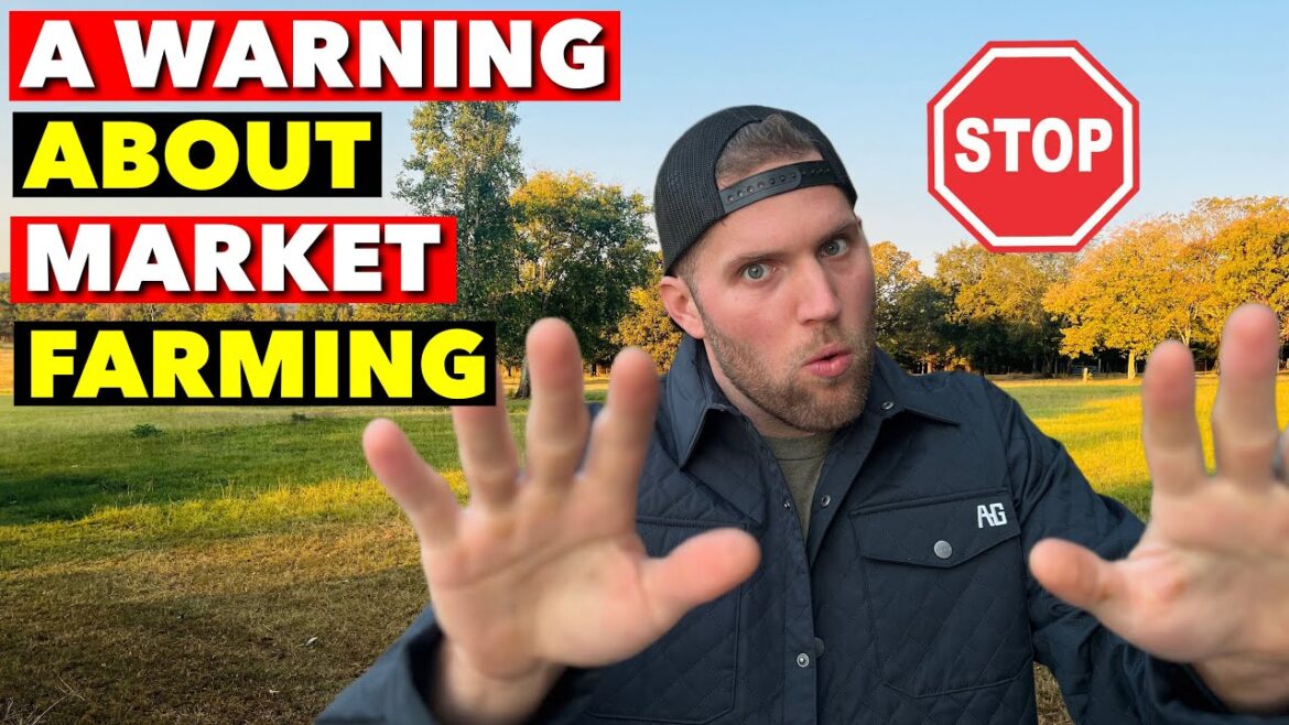 ⚠️ MY FINAL WARNING TO ASPIRING MARKET FARMERS