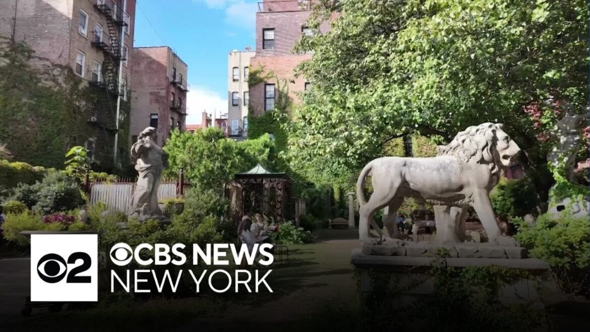 Group vows to keep fighting Elizabeth Street Garden eviction