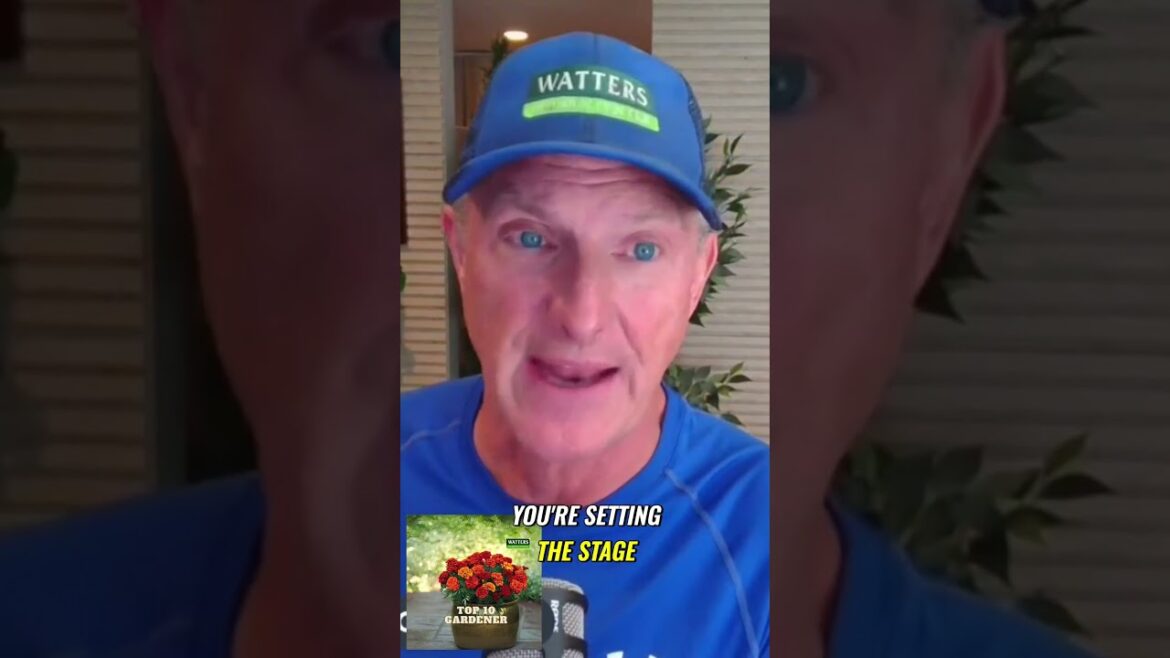 Boost Your Garden Boost Your Garden