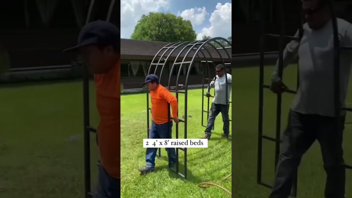 The best garden for maximum growing with minimal set up and so much beauty #garden #gardendesign