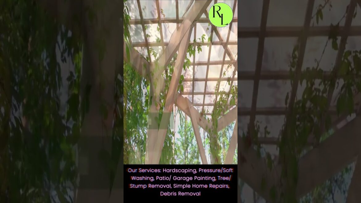 LANDSCAPING AD | RUFFIN LANDSCAPES | Tony Rahmot Short videos