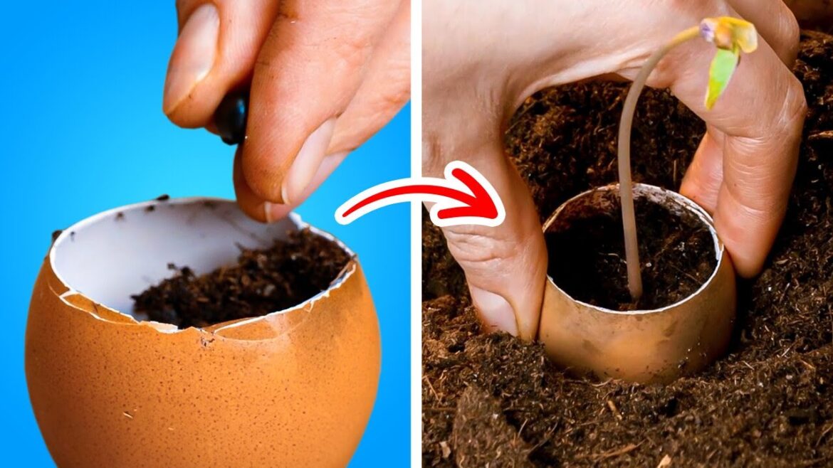 Awesome Gardening Hacks And Simple Tips & Tricks For Growing Plants Awesome Gardening Hacks And Simple Tips & Tricks For Growing Plants