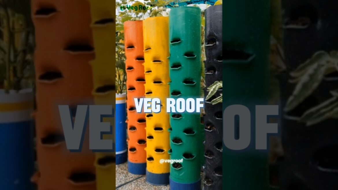 Vertical Vegetable Gardening Set-up |gardening in PVC pipe | VegRoof |