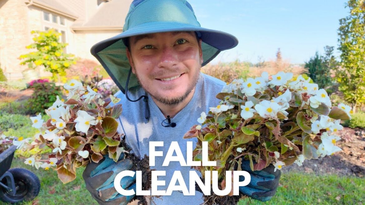 Starting Fall Garden Cleanup | The Southerner’s Northern Garden Starting Fall Garden Cleanup | The Southerner's Northern Garden