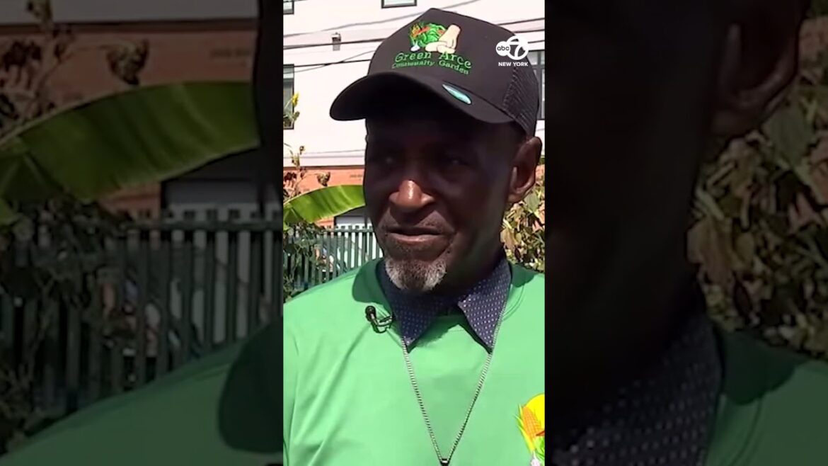 He transformed an underutilized lot into a green space producing life-giving food He transformed an underutilized lot into a green space producing life-giving food