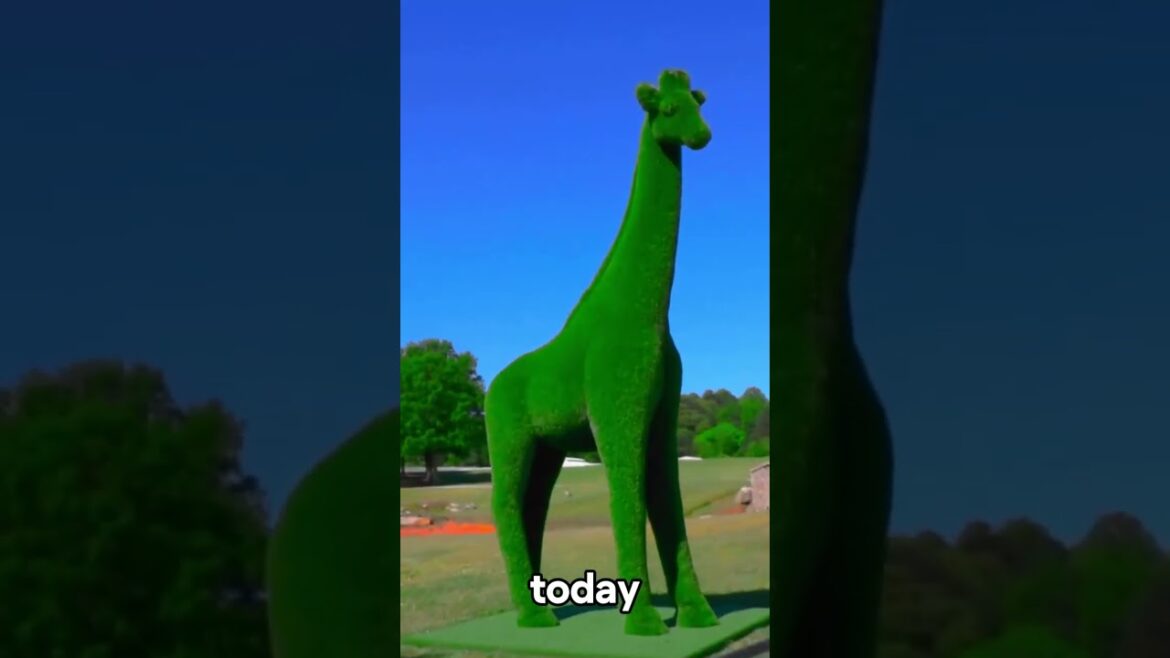 Satisfying Gardening Work 🌳 #garden #cleaning #grass #lawn #viral #fyp #story #104 Satisfying Gardening Work 🌳 #garden #cleaning #grass #lawn #viral #fyp #story #104