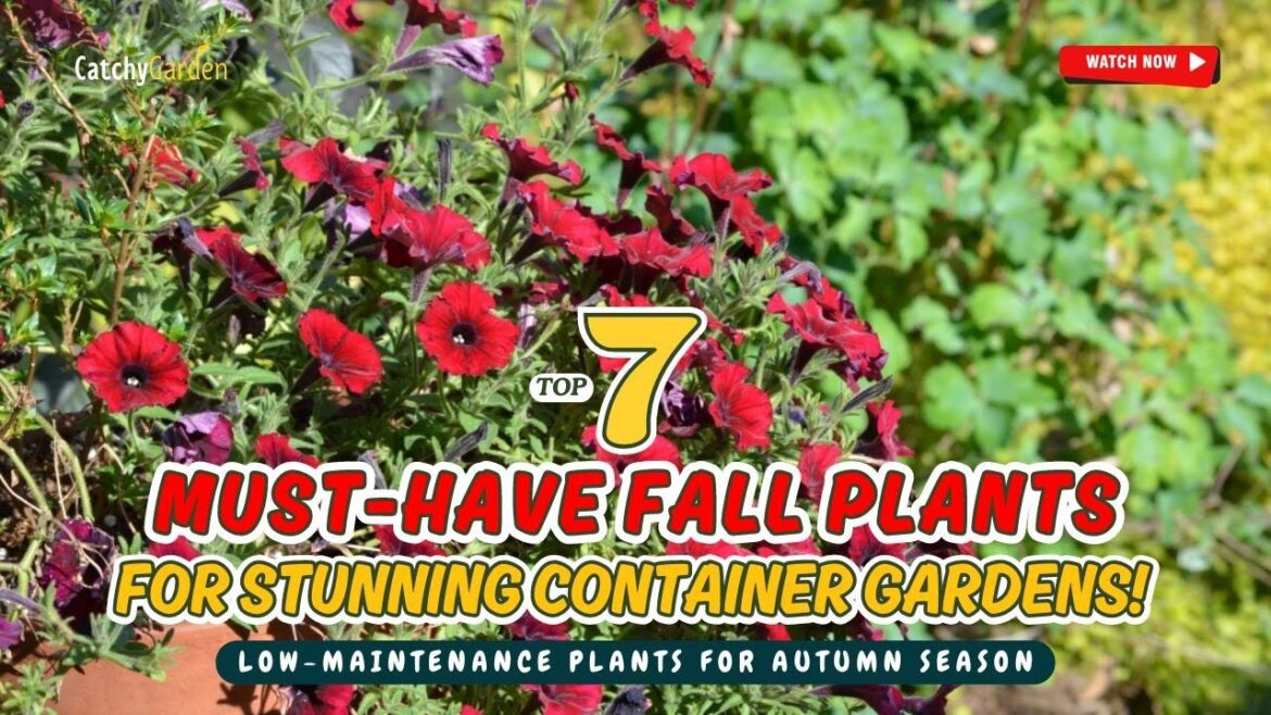 TOP 7 MUST-HAVE FALL PLANTS for STUNNING Container Gardens! ππΏπ // Gardening Ideas TOP 7 MUST-HAVE FALL PLANTS for STUNNING Container Gardens! ππΏπ // Gardening Ideas