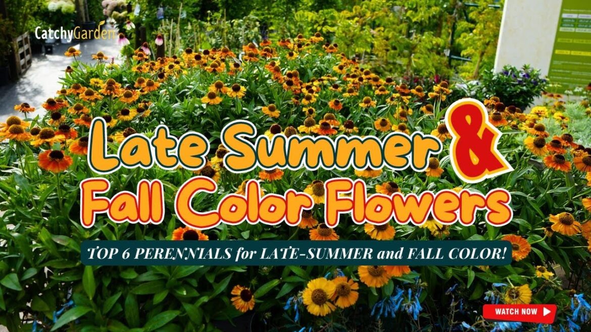 TOP 6 PERENNIALS for LATE-SUMMER and FALL COLOR! ππΌπ // Gardening Ideas TOP 6 PERENNIALS for LATE-SUMMER and FALL COLOR! ππΌπ // Gardening Ideas