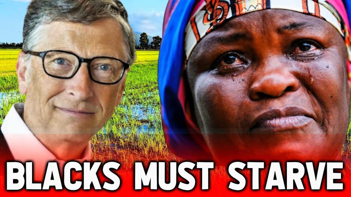 WÌCK3D Bill Gates plans on eradicating small scale farmers in Africa to Starve the BLACKS. WÌCK3D Bill Gates plans on eradicating small scale farmers in Africa to Starve the BLACKS.