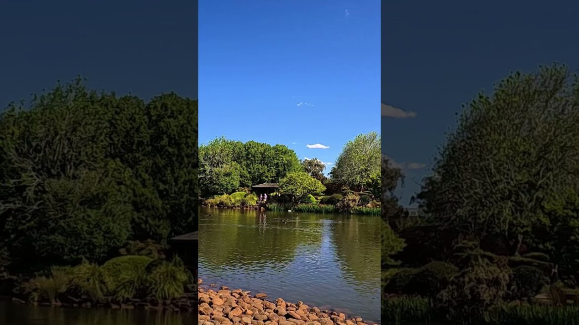 #mexicanfiesta Japanese Garden Recorriendo Australia #shorts. #mexicanfiesta Japanese Garden Recorriendo Australia #shorts.