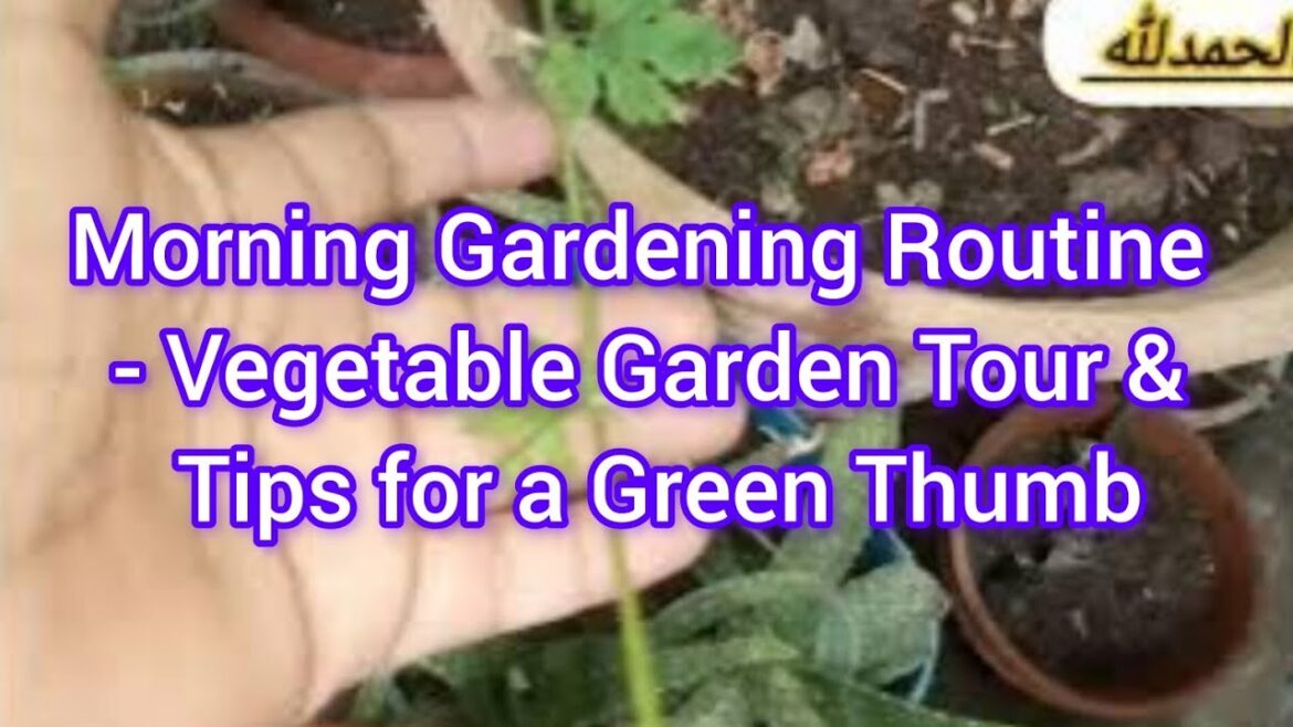 Morning Gardening Routine – Vegetable Garden Tour & Tips for a Green Thumb Morning Gardening Routine - Vegetable Garden Tour & Tips for a Green Thumb