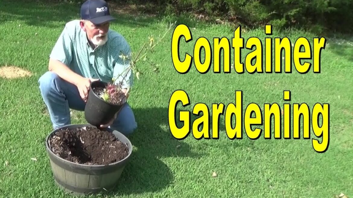 Container Gardening From Seed To Summer 7-11-2024 Container Gardening From Seed To Summer 7-11-2024