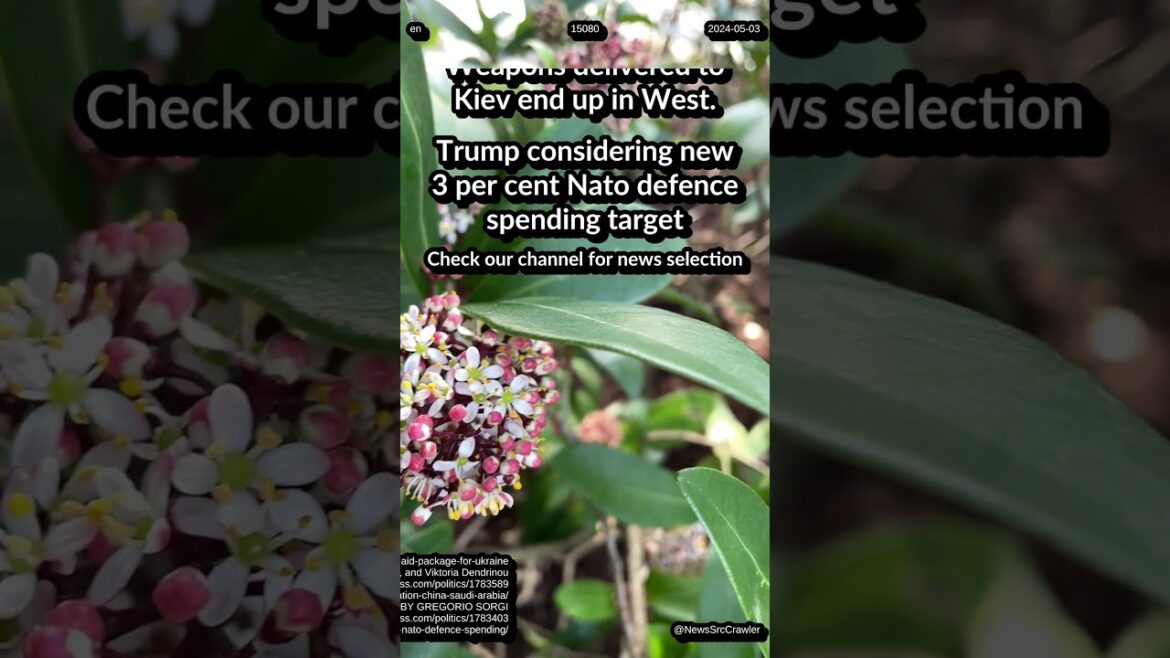 G7 $50B Aid. Peace in Ukraine, West halts: Russian diplomat. Trump: 3 per cent Nato defence target G7 $50B Aid. Peace in Ukraine, West halts: Russian diplomat. Trump: 3 per cent Nato defence target