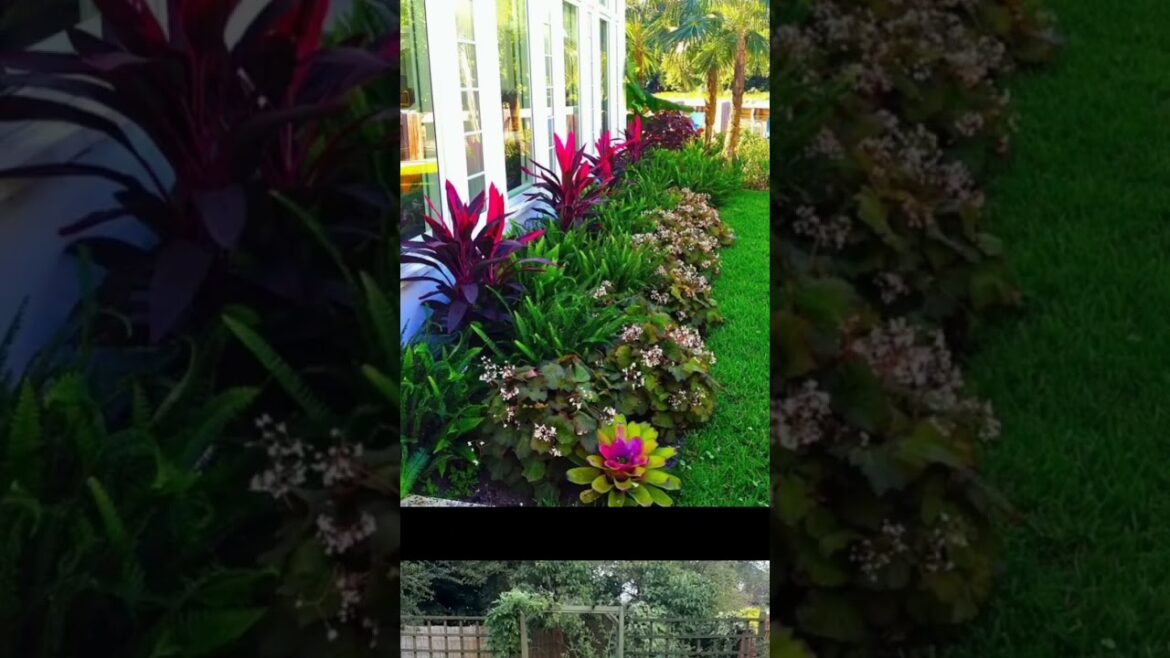 Ideas for small garden design | Small yard landscaping ideas