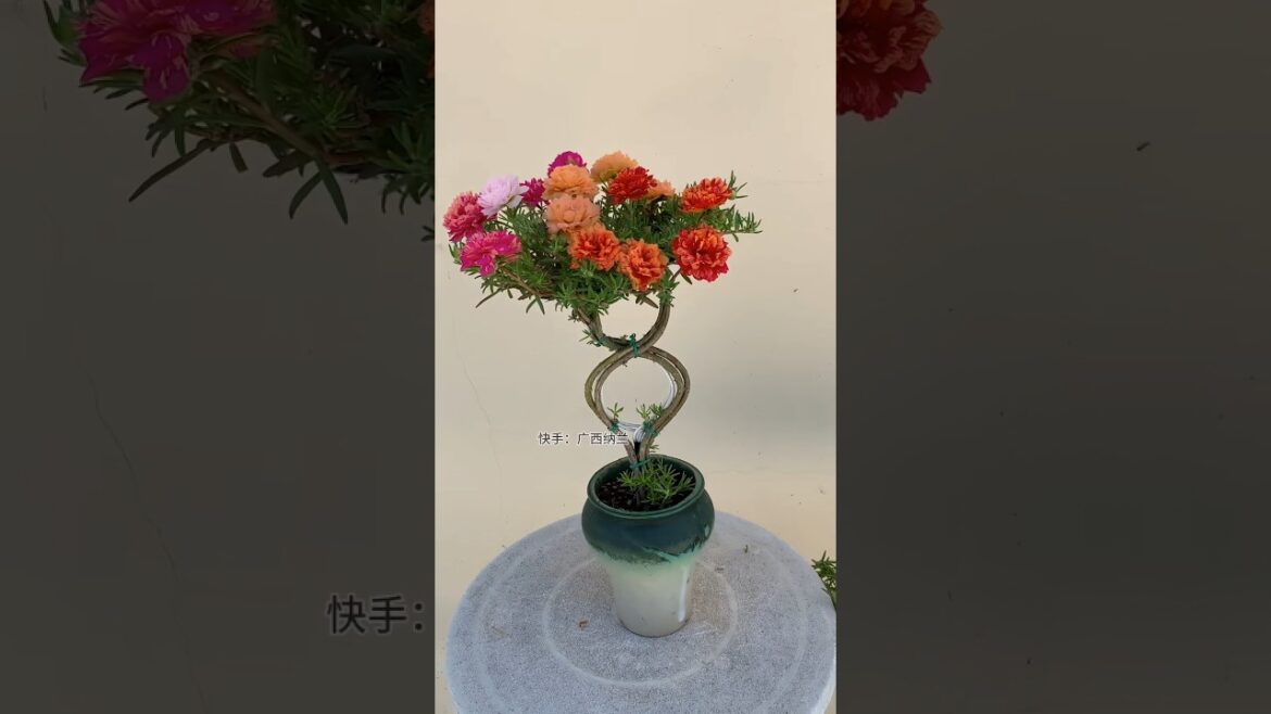 flower gardening ideas for home, #flowers #gardening #shorts