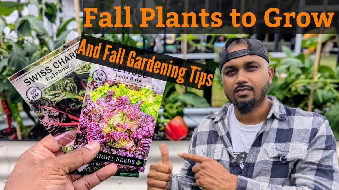 Fall gardening Tips & Plants To Grow ! 🍁🌱🍂 #newyork #gardening #garden