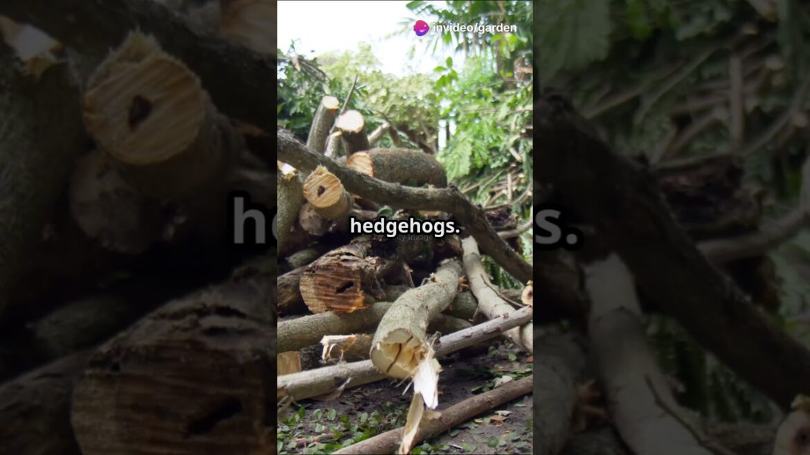 Create a Wildlife Wonderland in 45 Seconds! #gardeningtips #garden #youtubeshorts #gardeningideas Create a Wildlife Wonderland in 45 Seconds! #gardeningtips #garden #youtubeshorts #gardeningideas