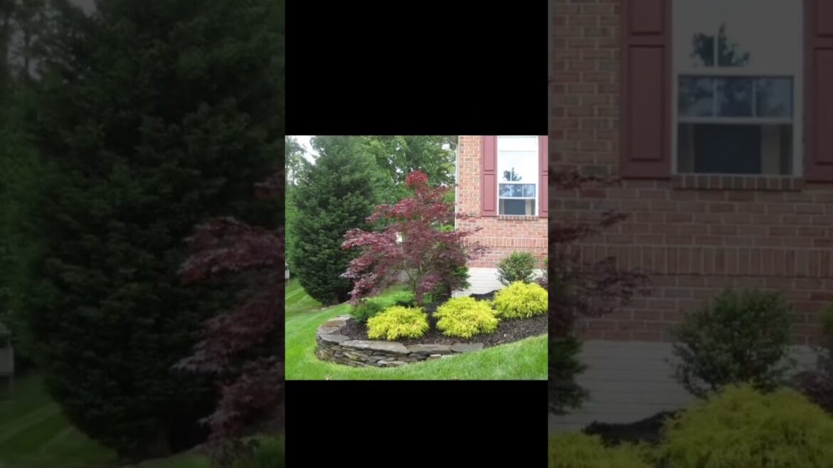 Ideas for small garden design | Small yard landscaping ideas