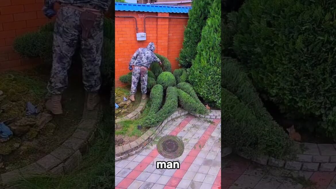 Satisfying Gardening Work 🌳 #garden #gardening #satisfying #cleaning  #grass #lawn #viral #fyp #52