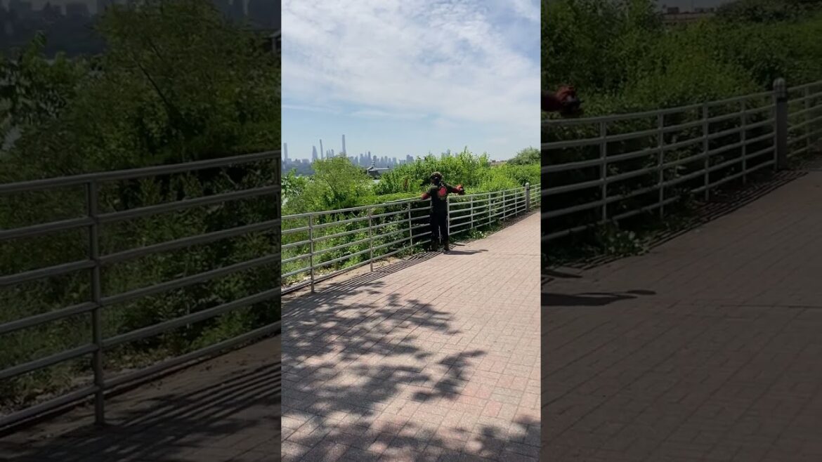 #laborers #labor #gardener #landscape #landscaping #landscapelovers #maintenance #lawncare #lawn