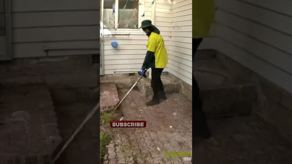 Garden Nightmare Transformation | Step by step by @VeryQC #garden #transformation #short #viral Garden Nightmare Transformation | Step by step by @VeryQC #garden #transformation #short #viral