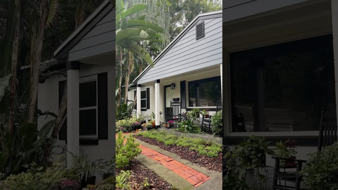 🌀 Porch Plant Hurricane Prep ROUND TWO | Hurricane Milton #gardening #containergardening #shorts
