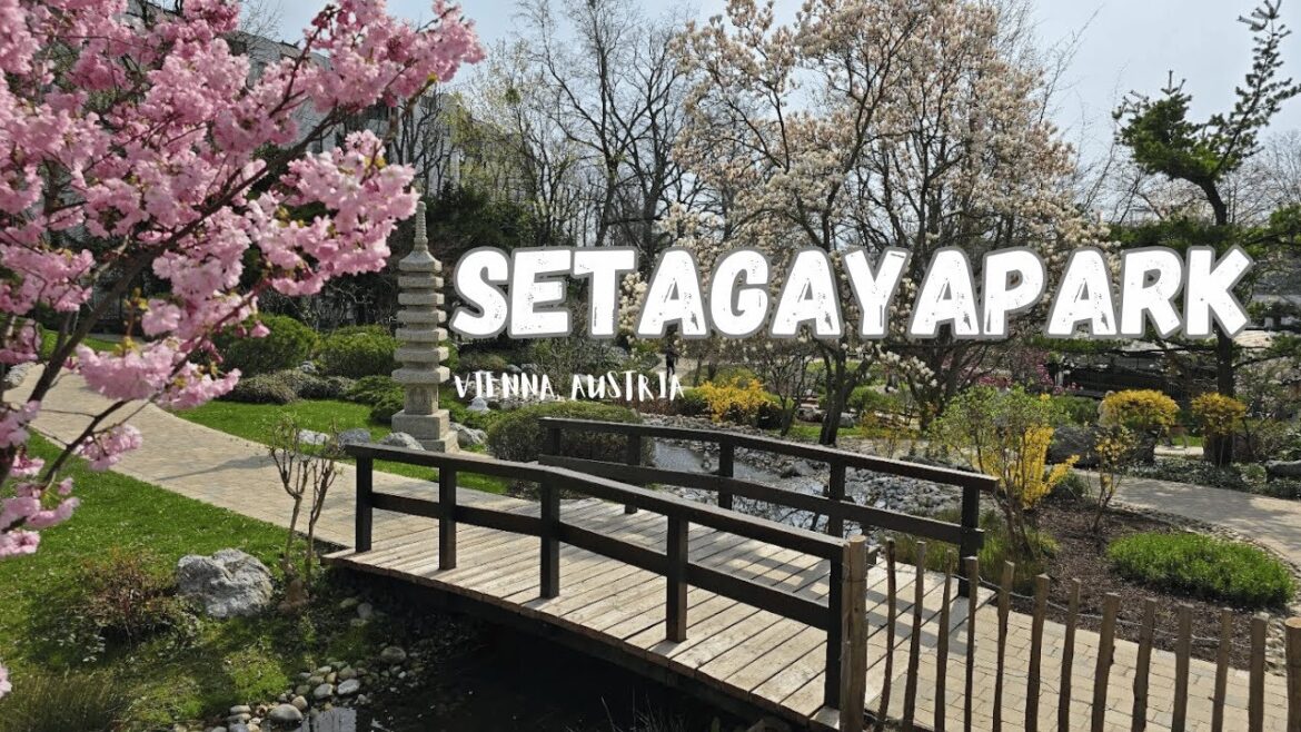 Setagayapark: Tranquil Japanese Garden in Vienna | Serenity Amidst Urban Life