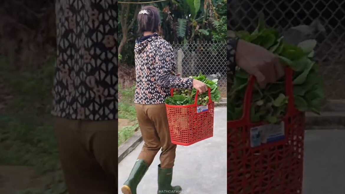 Pick my lush green vegetable garden, put it in a basket and go sell it. #farm