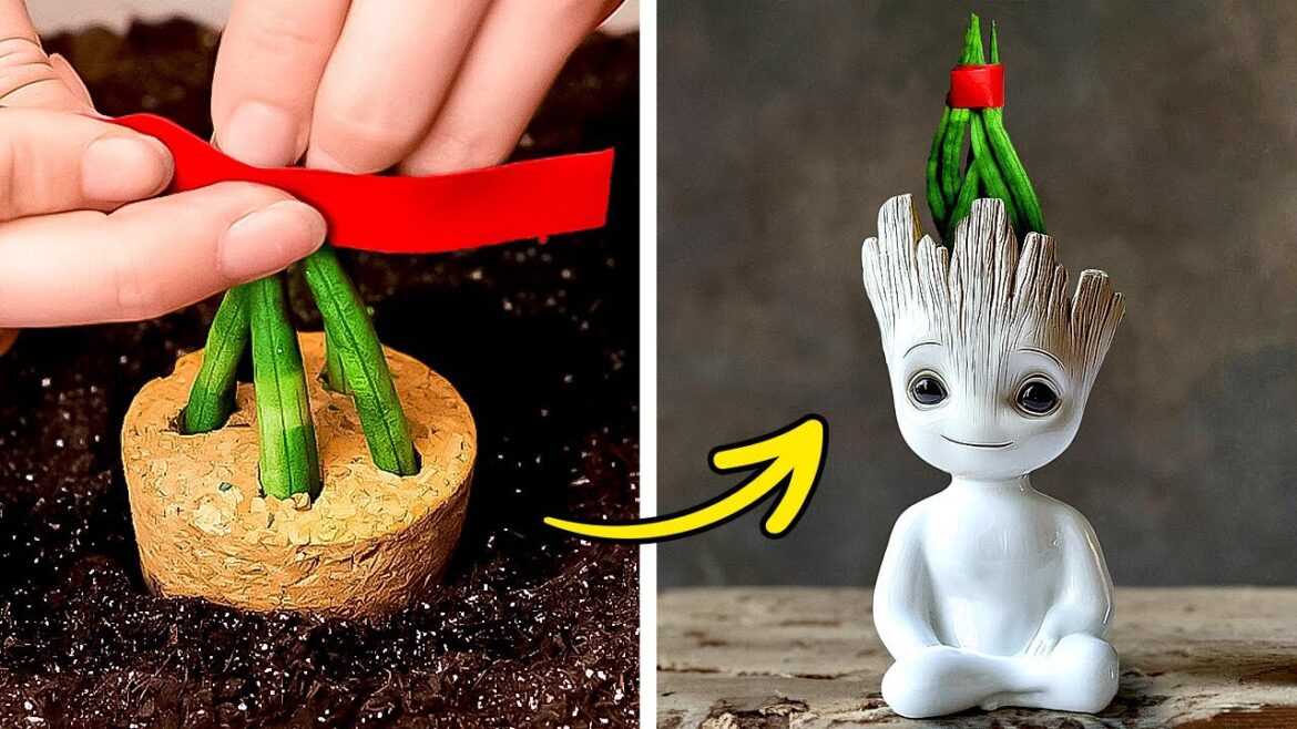 BRILLIANT IDEAS FOR PLANT LOVERS 🪴 GARDENING TIPS BRILLIANT IDEAS FOR PLANT LOVERS 🪴 GARDENING TIPS