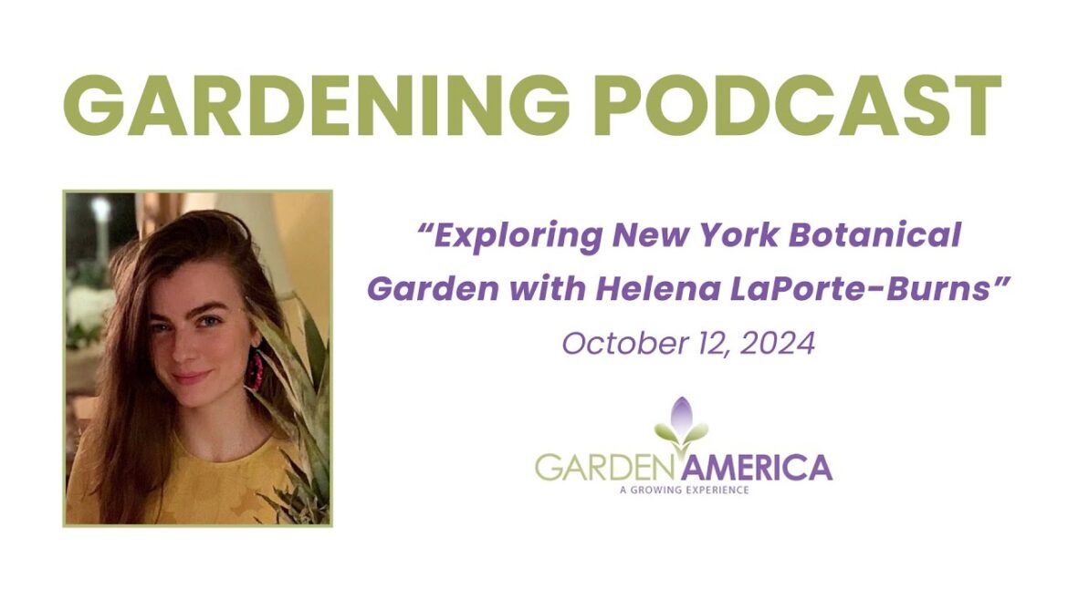 New York Botanical Garden with Helena LaPorte-Burns - Garden America  Radio Show [10.12.24]
