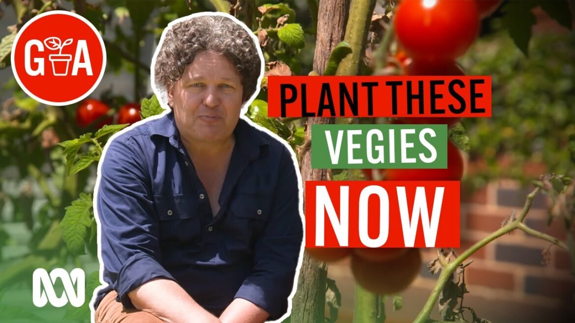 Kitchen Favourite Veg To Plant NOW | Growing Fruit and Vegies | Gardening Australia Kitchen Favourite Veg To Plant NOW | Growing Fruit and Vegies | Gardening Australia